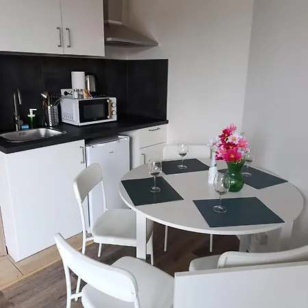 Brand New #10 Near Center With Free Street Parking * פראג